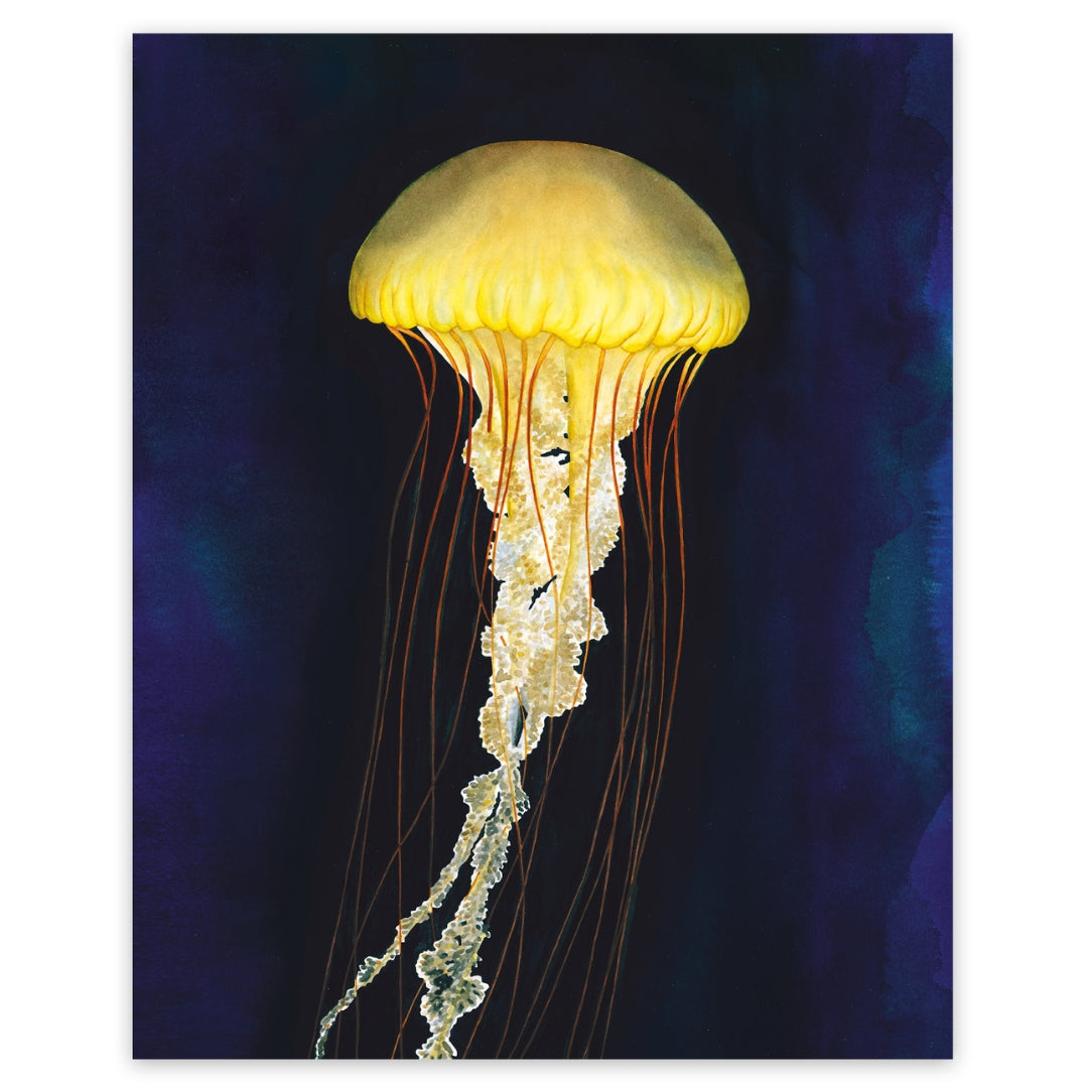 La Méduse - Boutique Articho