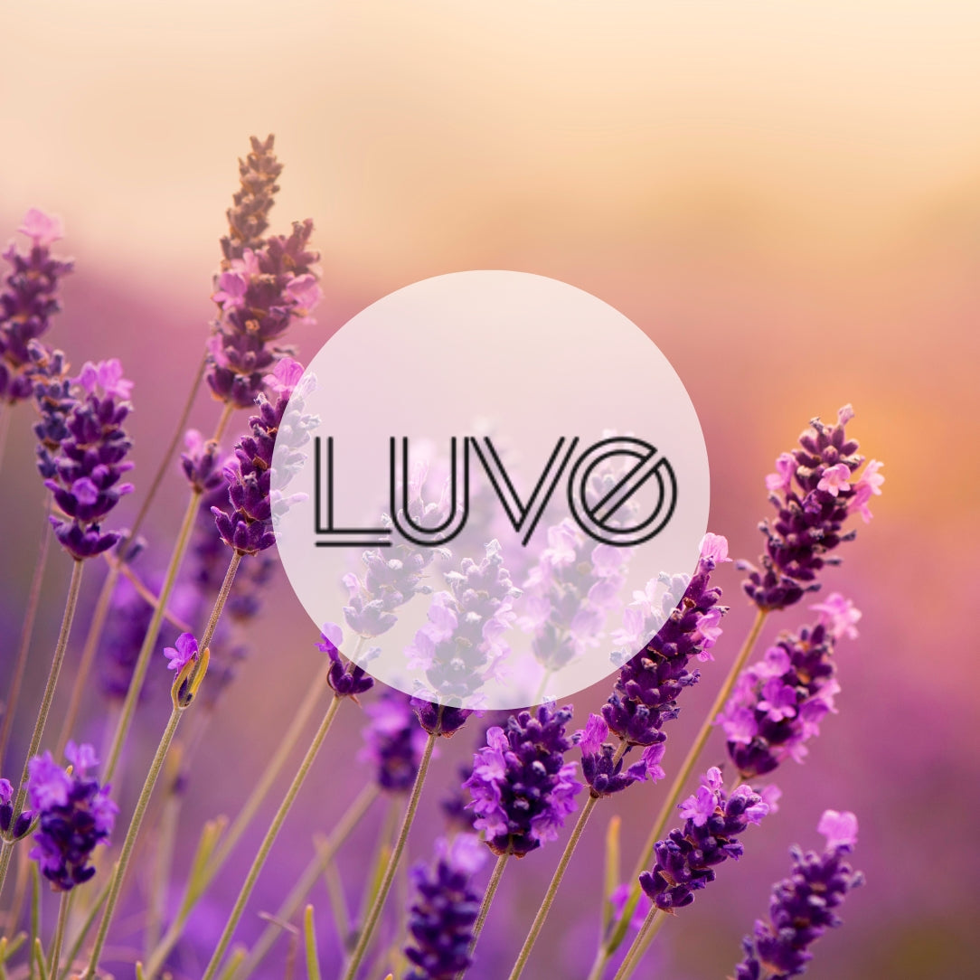 Bougie Lavande & bergamote - Boutique Articho