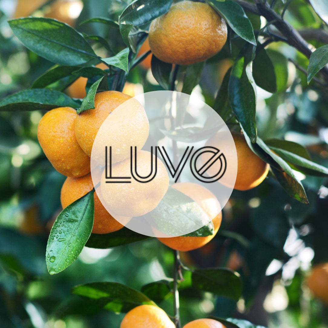 Mandarine & Résine - Parfum d'ambiance - Boutique Articho