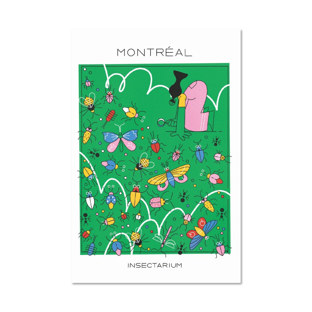 Insectarium - carte postale - Boutique Articho