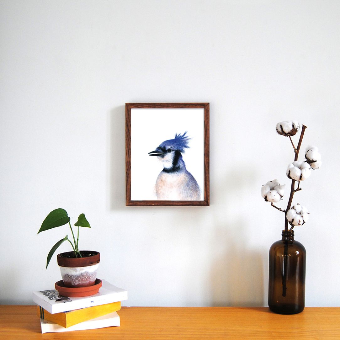 Geai bleu - Boutique Articho
