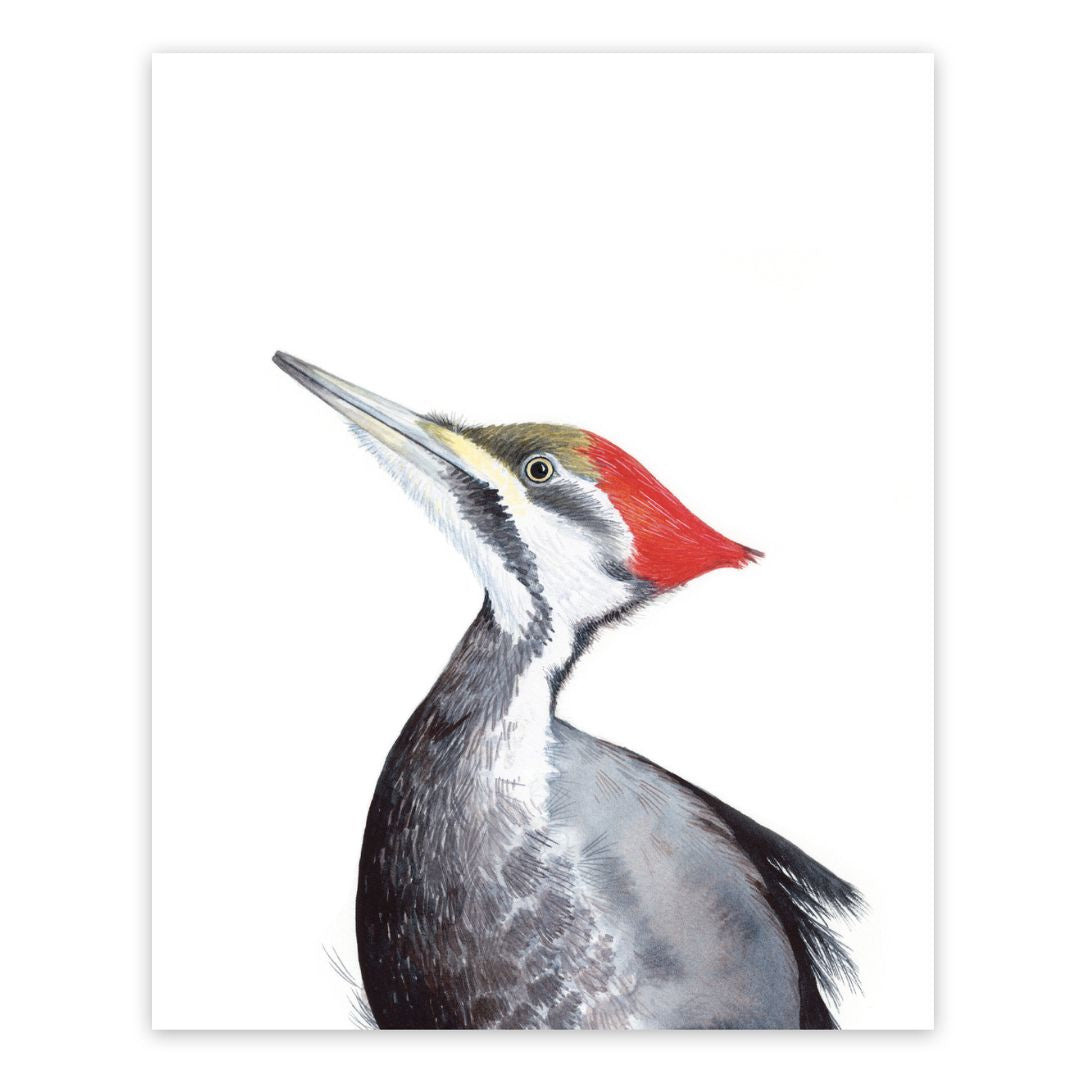 Grand Pic - Boutique Articho