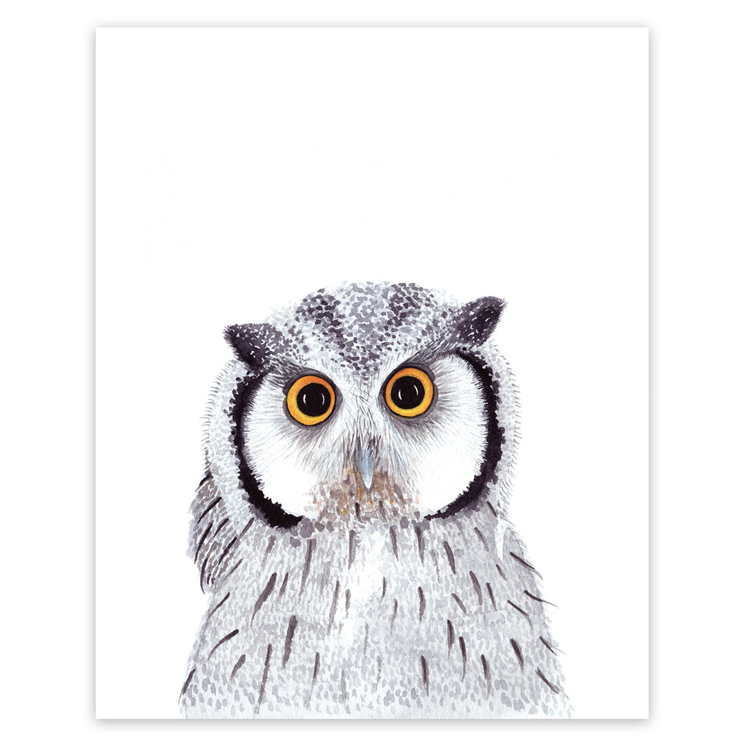 Hibou - Boutique Articho