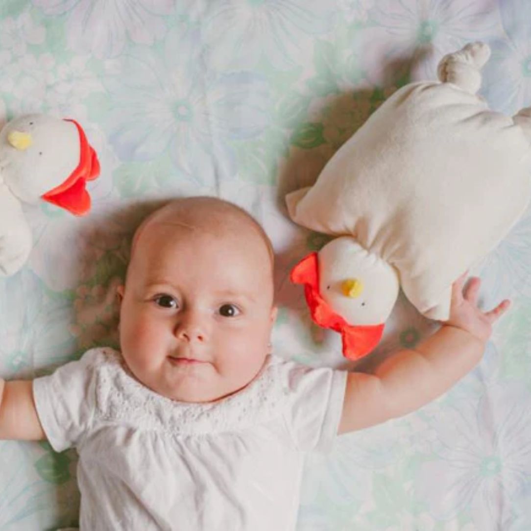 Petite poule - Boutique Articho