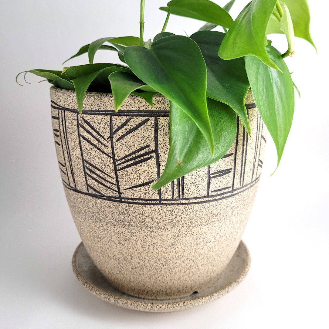 Cache-pot avec soucoupe - 6 pouces - Boutique Articho