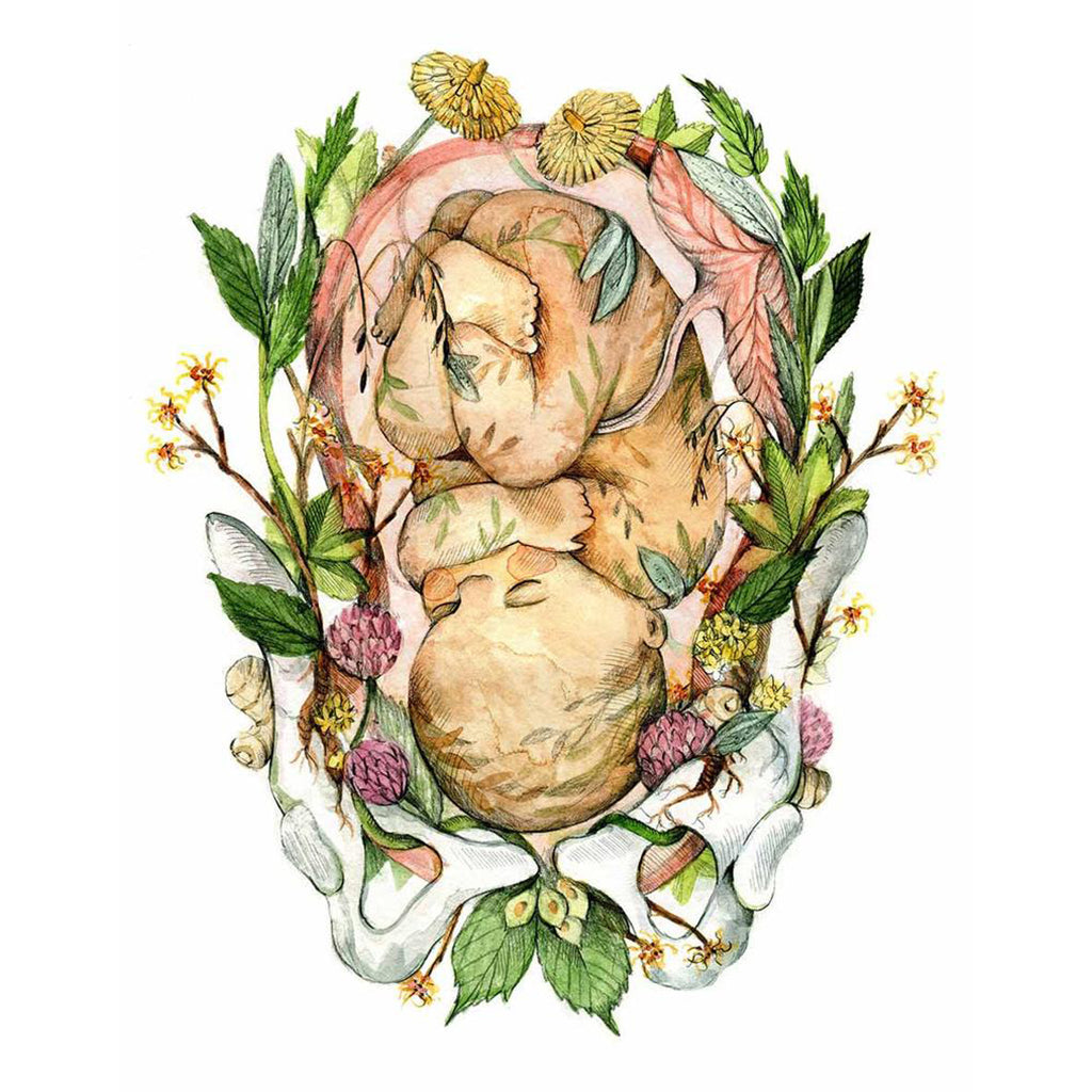 Carte - Bébé fleuri - Boutique Articho