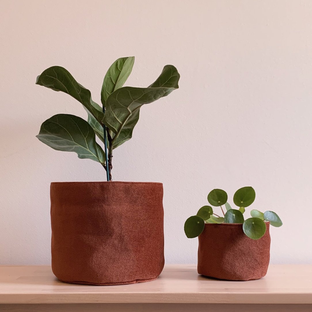 Mini panier en velours - Boutique Articho