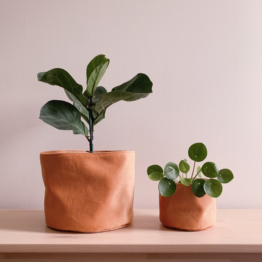 Mini panier en velours - Boutique Articho