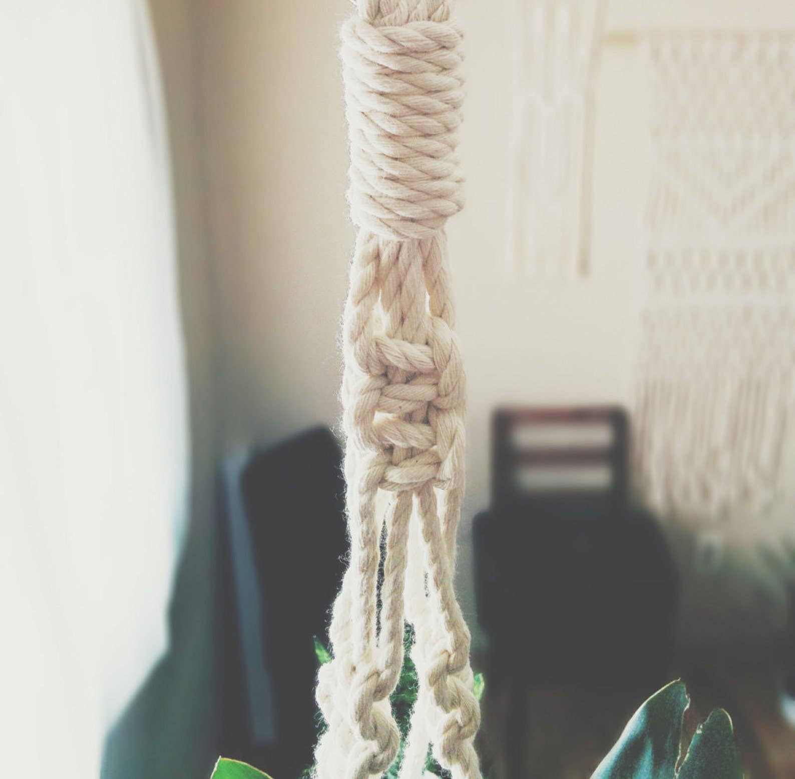 Suspension pour plantes | naturel