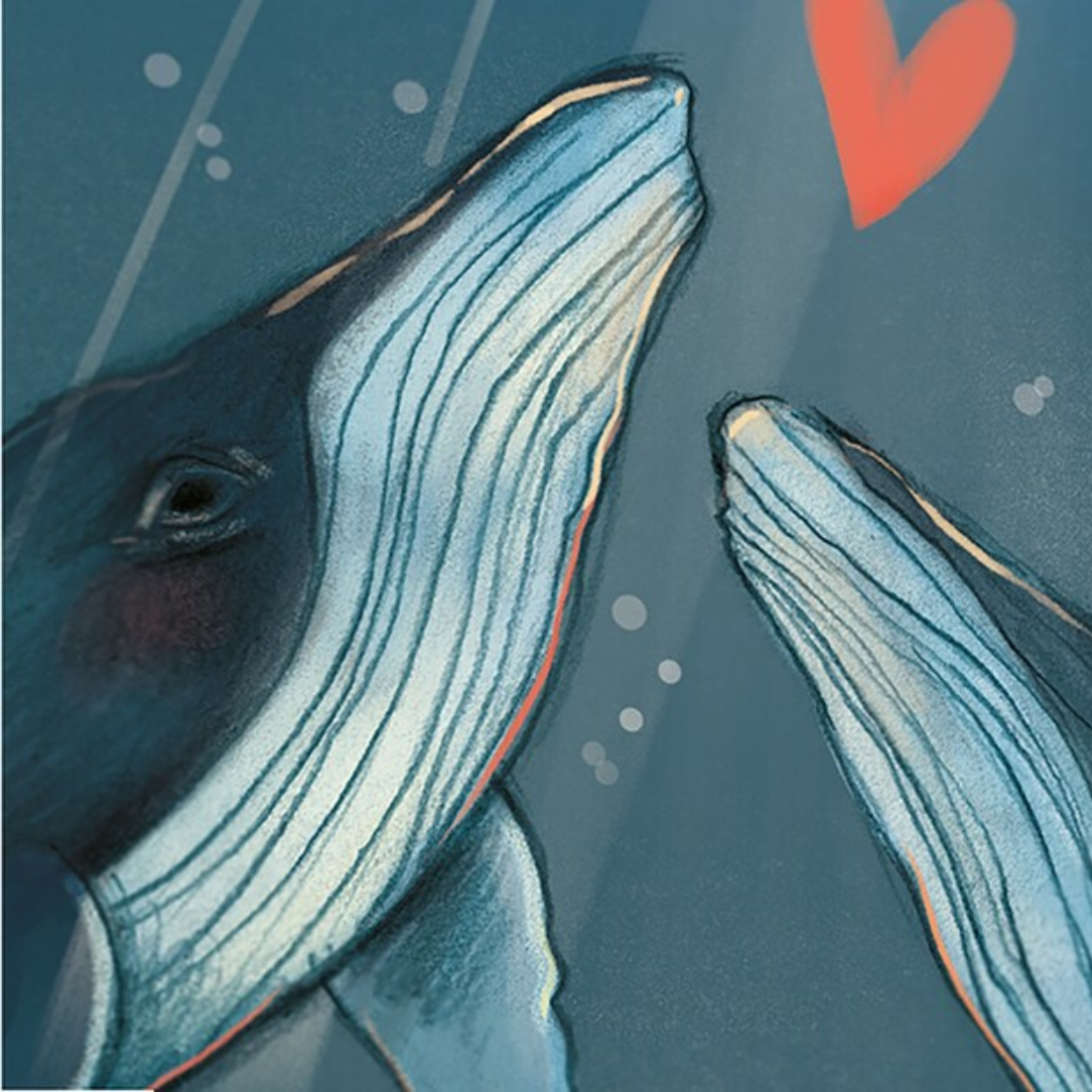 Carte - Baleines bleues