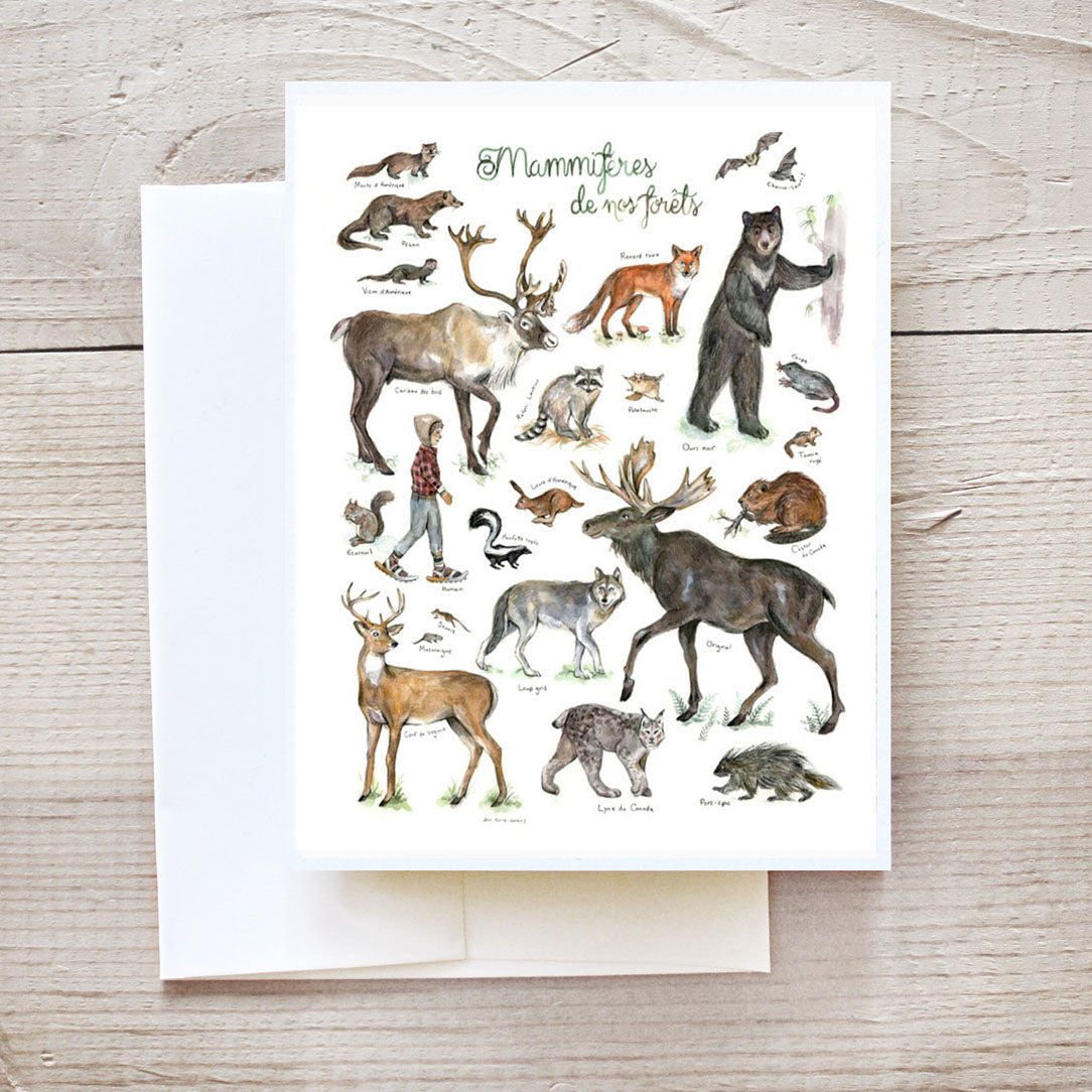 Carte mammifères de nos forêts - Boutique Articho