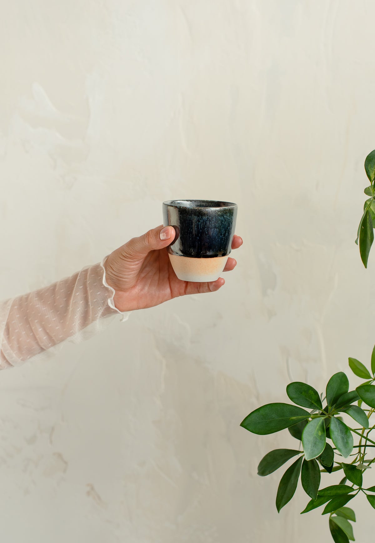 Petit verre