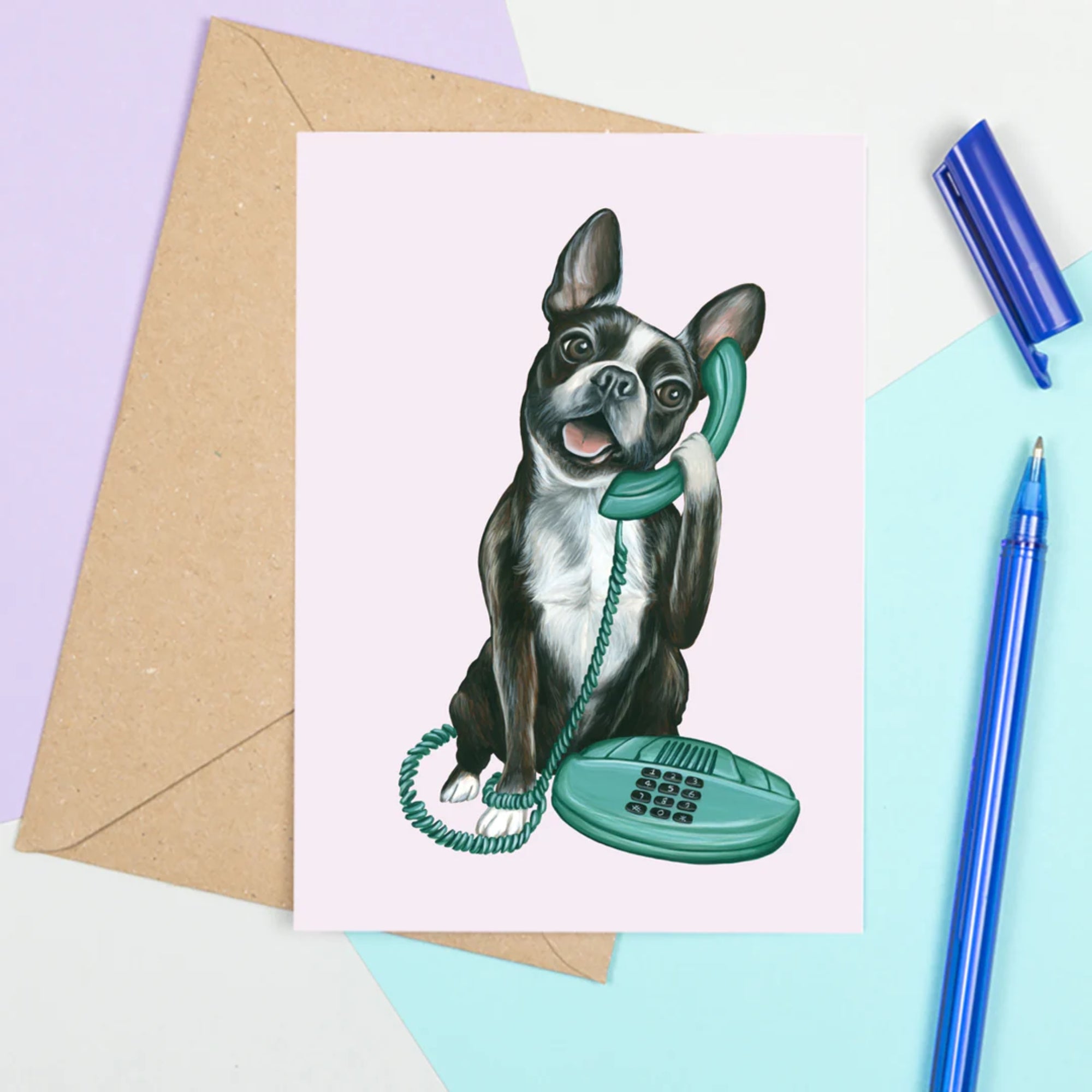Boston terrier au téléphone