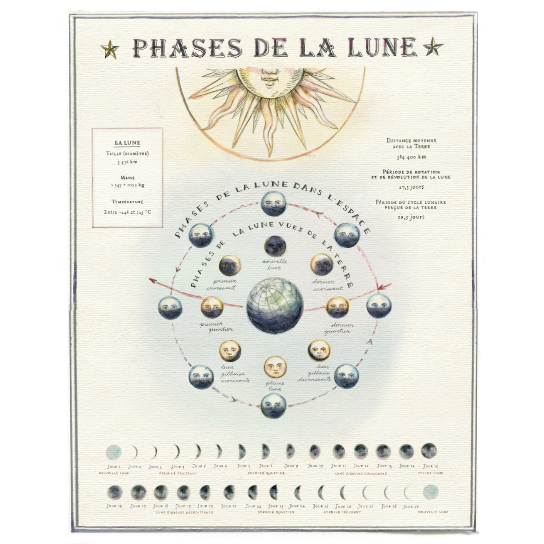 Carte - Phases de la lune - Boutique Articho