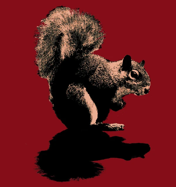 Écureuil - T-shirt