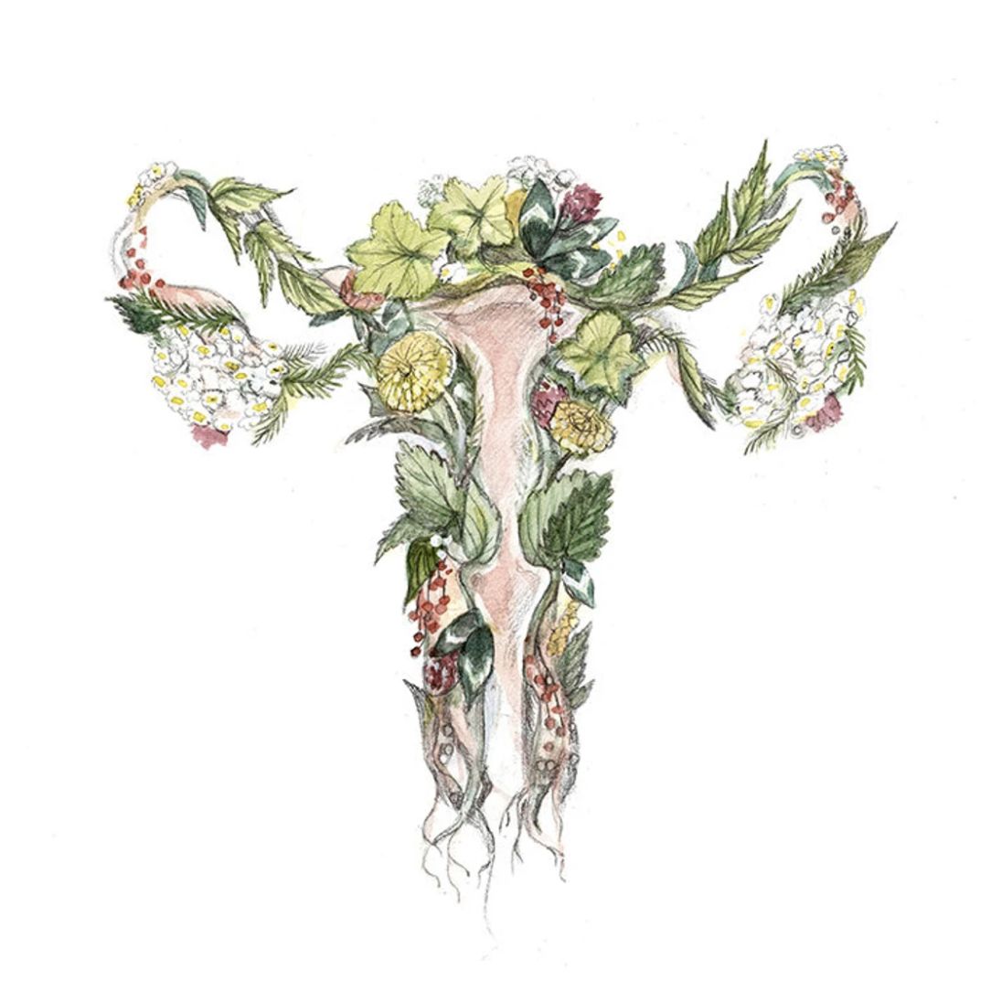 Mathilde Cinq-Mars - Cartes Utérus en fleur