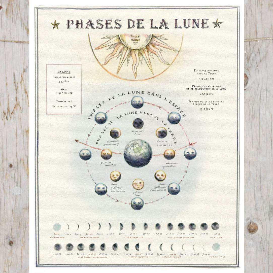 Phases de la lune - Affiche | Mathilde Cinq-Mars chez Articho